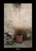 dominphoto7_small.jpg