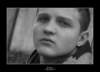 dominphoto15_small.jpg
