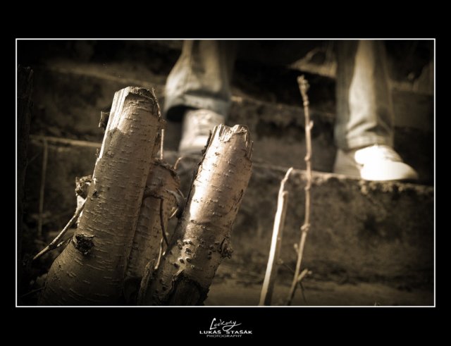 lsphoto3.jpg