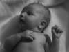photobaby11_small.jpg