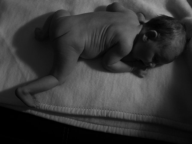 photobaby6.jpg