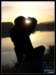 photols20_small.jpg