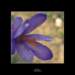 lsphoto12_small.jpg