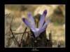 lsphoto19_small.jpg