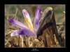 lsphoto20_small.jpg