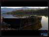 photols_7_small.jpg